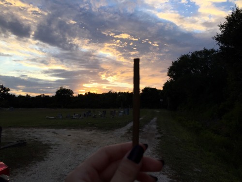 XXX pokehauntess: blunt a day keeps the sadness photo