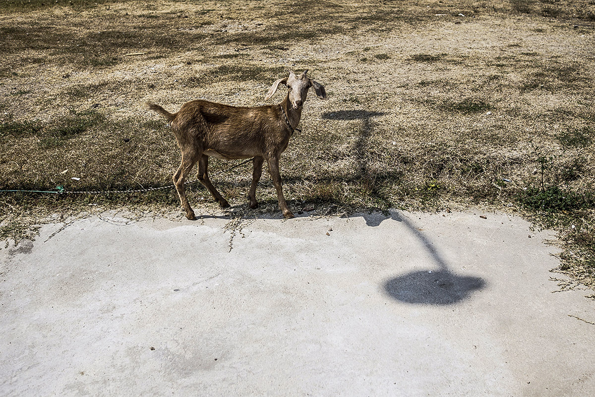 (Oaxaca, Mexico, 2015)
““Most people have a rope that ties them to someone, and that rope can be short or it can be long. (Be long. Belong. Get it?) You don’t know how long, though. It’s not your choice.” ― Nick Hornby, A Long Way Down
”