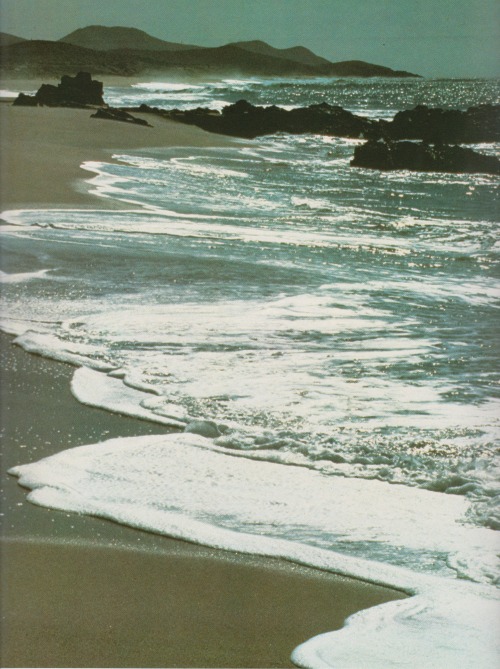 retrospectia: Pacific Wilderness, 1989