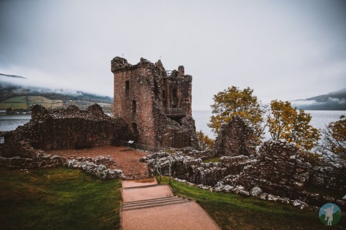 It’s been such an odd year for tourism in Scotland that even Loch Ness was pretty silent. Made the p