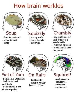 lotrreactionmemes:autistic-af:Tag how YOUR brain worklesSource ~ Michael McCreary