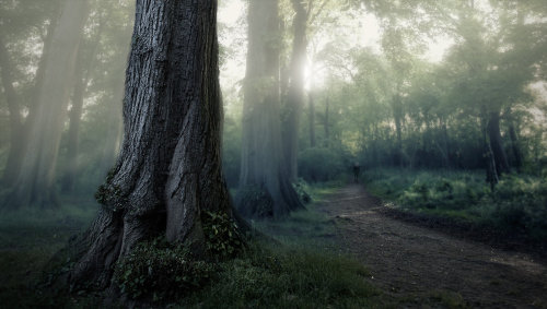 Forest ghost by G-freak