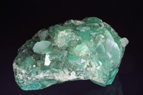 hematitehearts:Baryte on Malachite with inclusionsLocality: Shangulowe Mine, Katanga, Congo (Democra