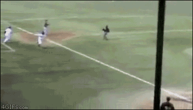 For animated GIFs