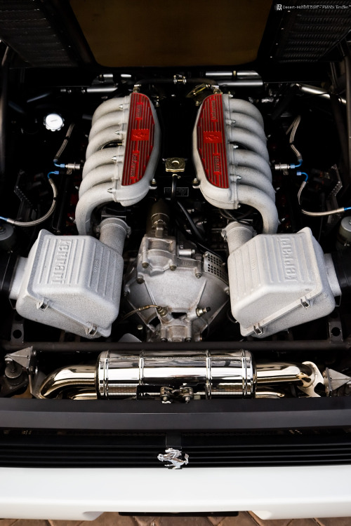 Sex desertmotors:  1994 Ferrari 512 TR Engine pictures