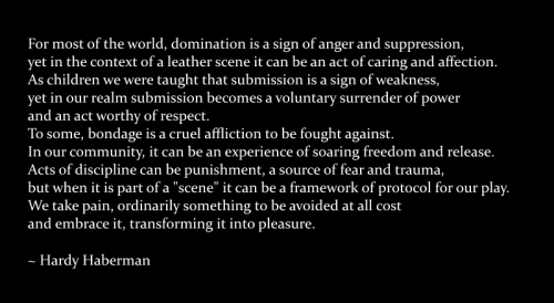 blushredtail:  I love this quote.  We saw Mr. Haberman last year at Leather Reign.  He is a charming kinky Gentleman.  :)