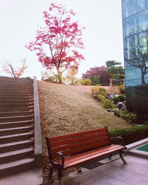 It’s Fall change to WinterMy University for Korean language 