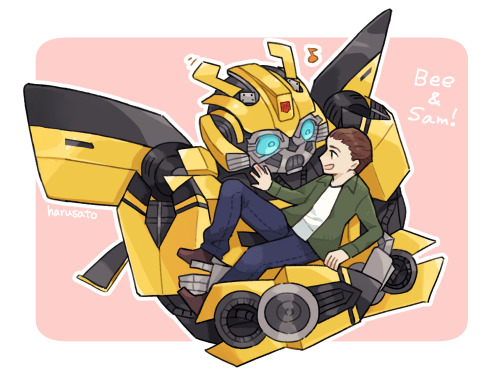 Bumblebee＆Sum！TFハマッたのがこのコンビきっかけだったので思い入れ深いです…