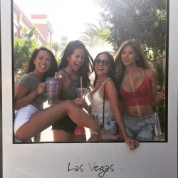 meanwhileinvegas:  Las Vegas take over 🐱