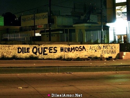 accionpoeticafotos:  Acción poética Tijuana 