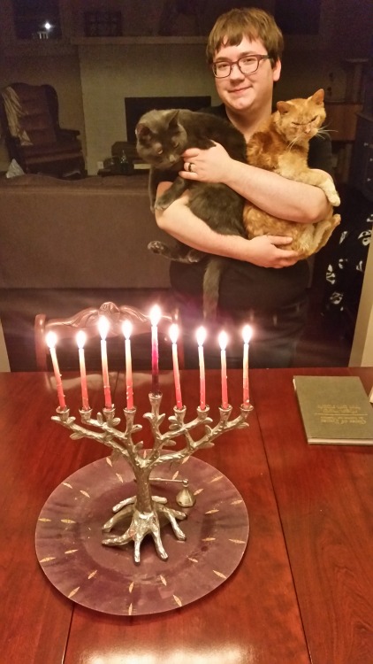 Happy last night of Chanukah from the whole household!feat. me, my partner, our hanukcats and hanu&h