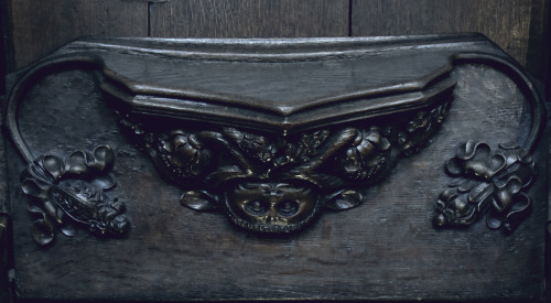 A collection of mythical creature Misericords including Blemmyes, Woodwose and a Yale- Ripon Cathedr