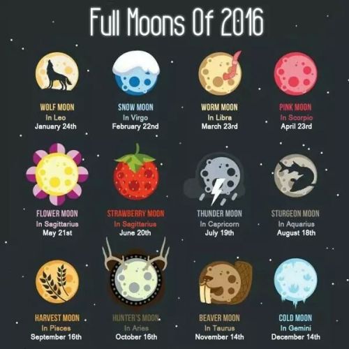 aliceyouregone: Full moons of 2016 Well, yeah, it’s a bit impossible to go on reading your tag