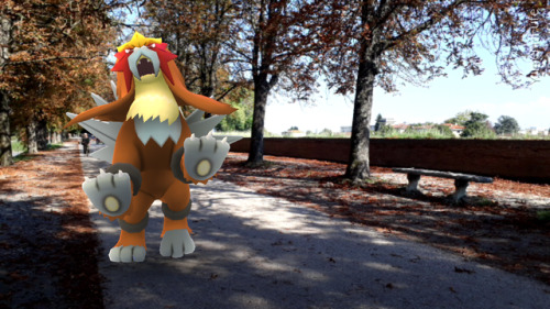 skittycandy:An Entei in Bellchime Trail.