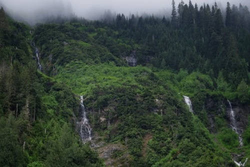 bloganlive:Cascade River Road Washington state