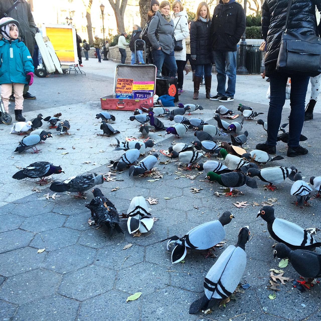 NYC street art, pigeon style.