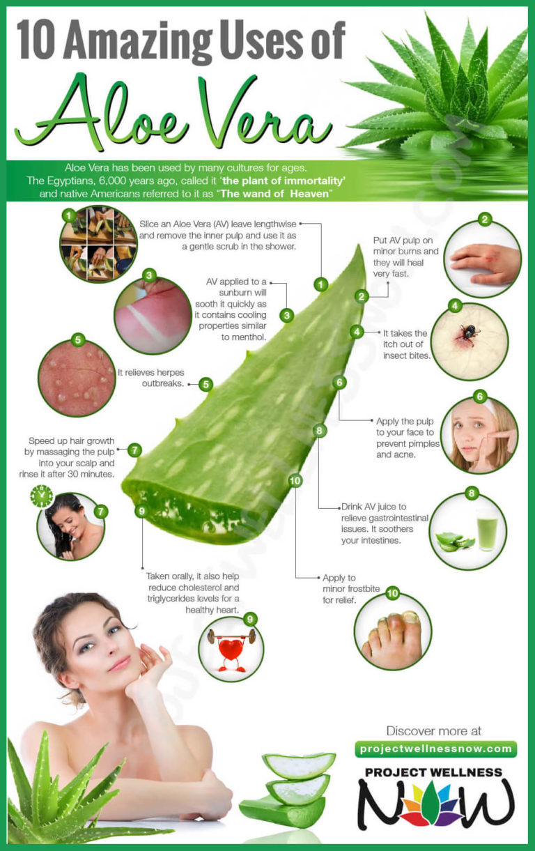 Discover the Benefits of Aloe Vera Gel: What is it Used for? - PlantHD