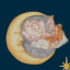 quantumquill