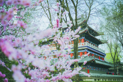 沈阳 龙王庙 Longwang Miao (Dragon King Temple), Shenyang, China (Credits)