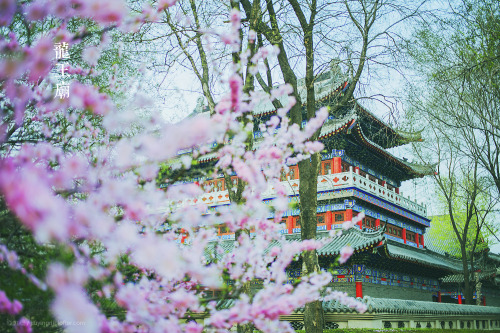 沈阳 龙王庙Longwang Miao (Dragon King Temple), Shenyang, China(Credits)