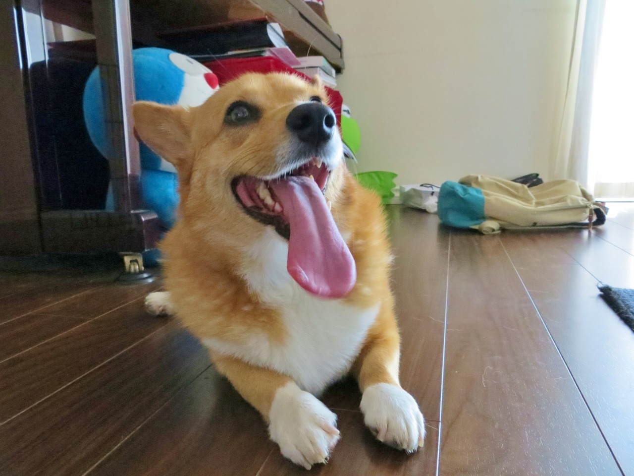 corkidorki:  His tongue has a life of its own.