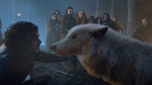 John Snow and his wolf from the Serie Games of thrones