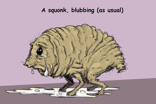 The Squonk is a mythical creaturereputed to live in the Hemlockforests of northern Pennsylvania. The