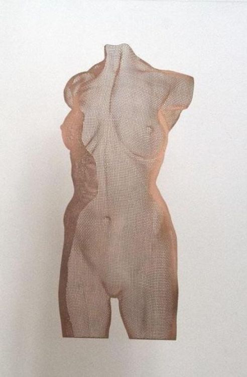 artparks-sculpture:A sculpture titled ‘Venus Bronze Large (Tansparent Nude Panel sculpture)’ by sculptor David Begbie. In a medium of Phosphor Bronze Panel.