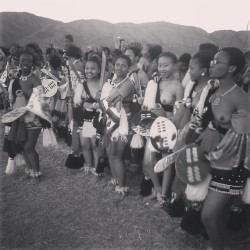   Zulu reed dancers, via lindysphasha
