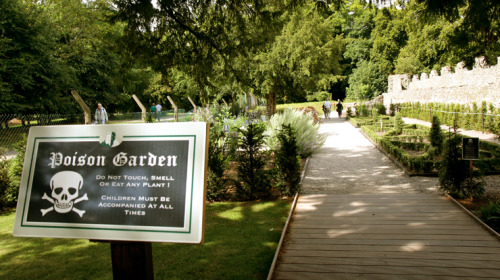 cutie-quinn:  bayoread:  lord-kitschener:  unexplained-events:  The Poison Garden Established in 2005 by the Duchess of Northumberland. The garden contains over 100 deadly and hallucinogenic plants.    ’I wondered why so many gardens around the world