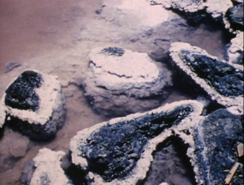 Robert Smithson - Spiral Jetty (1970)