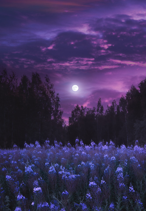 The Blue Flower Moon in full bloom, by Milamai