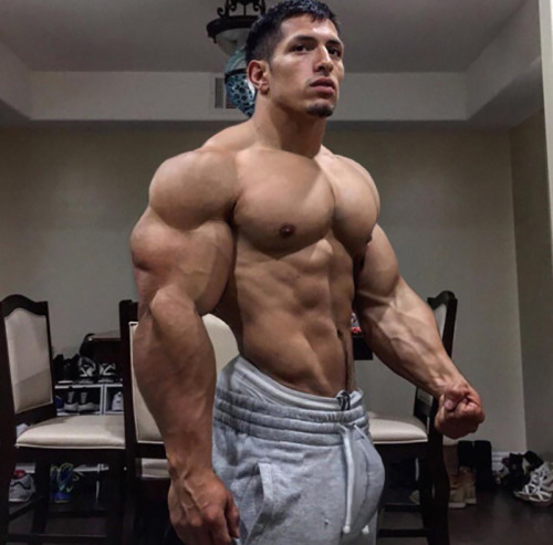 Musclemechanic