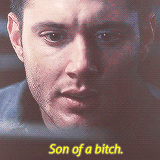 castiells:  “Son of a bitch!” → requested by shippingnian 