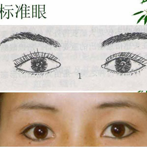 exrpan: mirrepp:  14 Different kinds of asian eye shapes.  I’m so glad someone