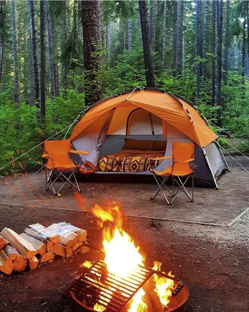 goodgirl0014: Daddy let’s go camping. You should totally kidnap me and take me here and have y