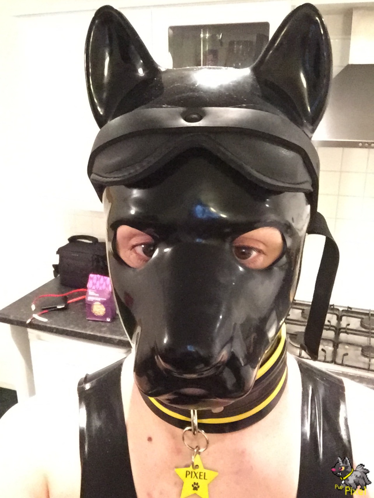 puppixel:  Just back from a puppy weekend. Pix takes many different forms these days.