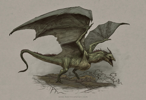 “The wyverns of Sothoryos fly on great leathery wings, have “cruel” beaks, and an insatiable hunger.