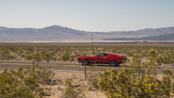 ford-mustang-generation:  Ford Mustang Mach