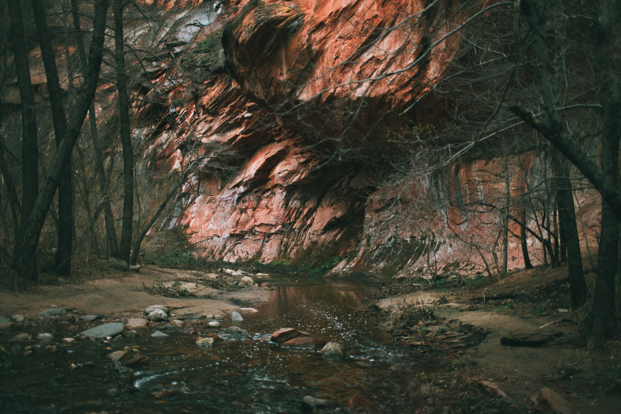 itsnatalieallen:  West Fork Trail, AZ.