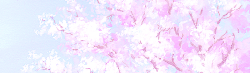 sugayy-deactivated20151005:  The Cherry Blossom | ❀ | ✿ | ☆ |   