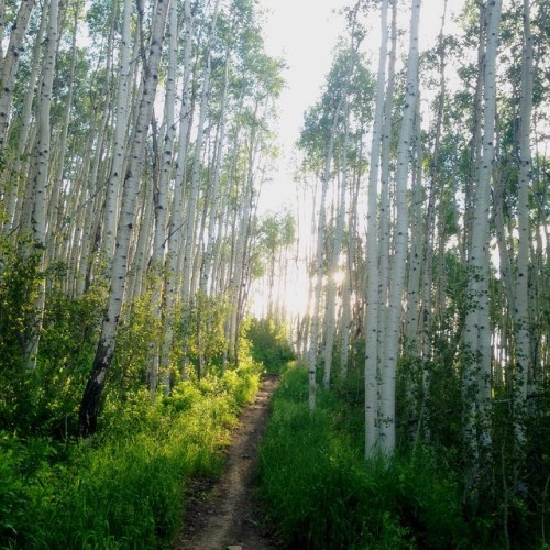 This way to happiness, folks. #parkcity #utah