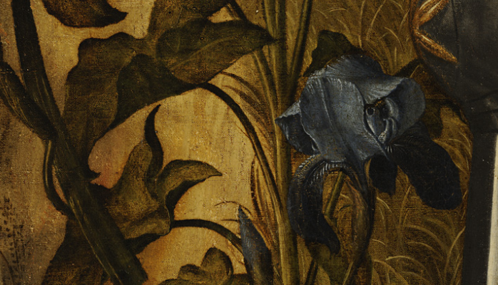 renaissance-art:  Details of Flowers