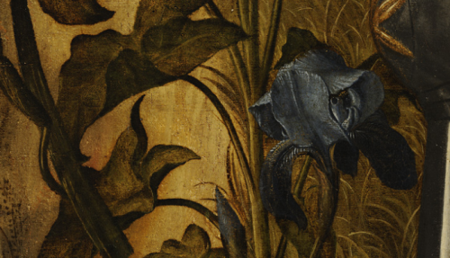 renaissance-art:  Details of Flowers porn pictures