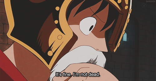 FUCK YEAH ONE PIECE
