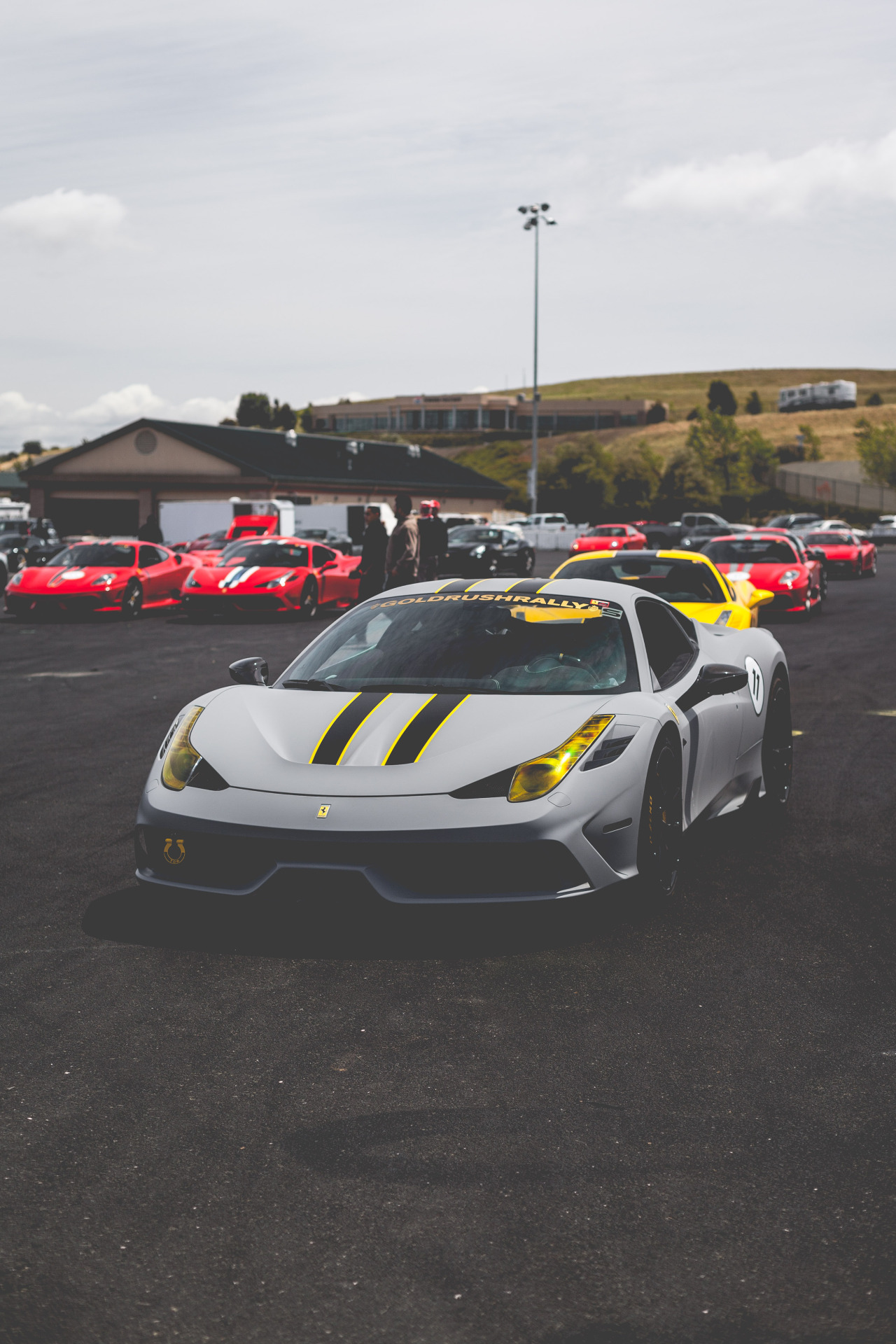 thephotoglife:  PetFred’s Speciale