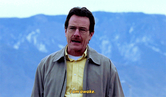 tumblr_pybljvpZM81x0bvwko8_540.gif