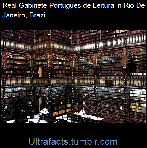 ultrafacts:  Some cool libraries from around porn pictures