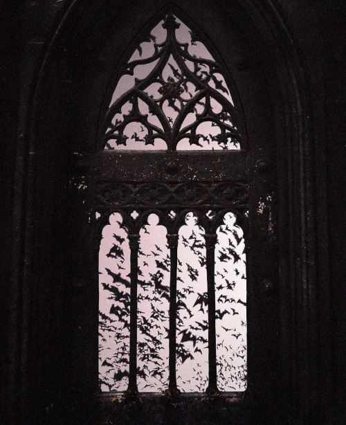 "Vampire's Lair" By Photographer Nona Limmen