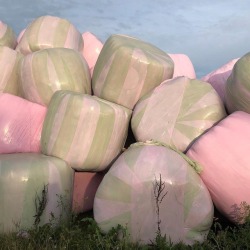 lamignonette:sophie pinet